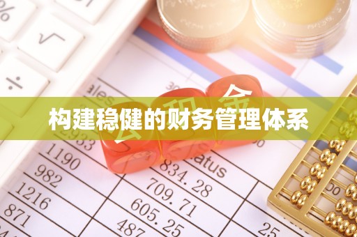 罗山构建稳健的财务管理体系