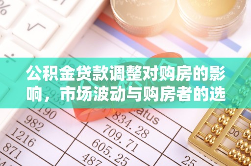 罗山公积金贷款调整对购房的影响，市场波动与购房者的选择