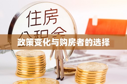 罗山政策变化与购房者的选择