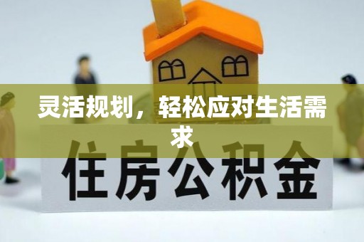 罗山灵活规划，轻松应对生活需求
