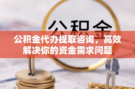 罗山公积金代办提取咨询，高效解决你的资金需求问题
