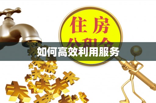罗山如何高效利用服务