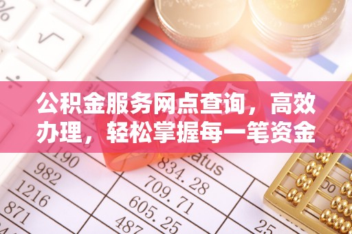 罗山公积金服务网点查询，高效办理，轻松掌握每一笔资金动态