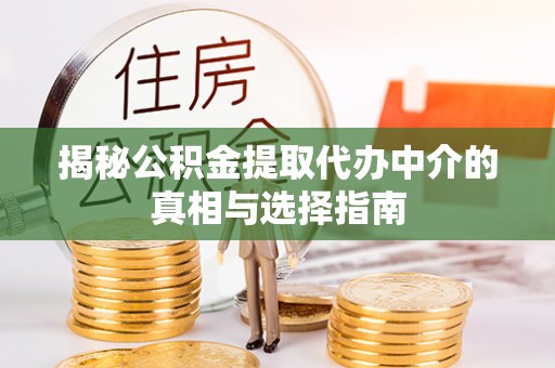 罗山揭秘公积金提取代办中介的真相与选择指南